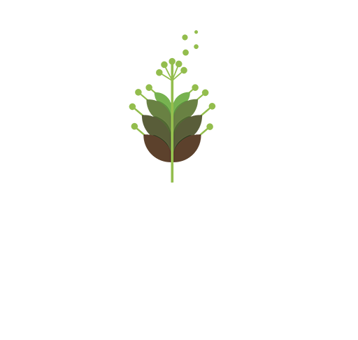 مركز الشيخ محمد بن خالد آل نهيان